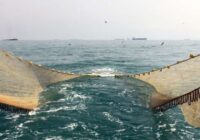 مرگ آبزیان در خلیج فارس و دریای خزر
