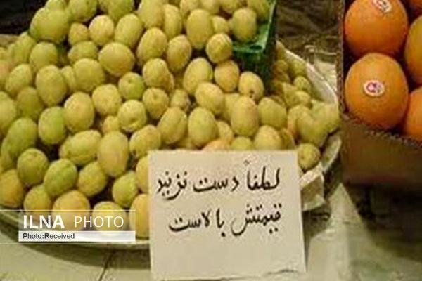 سبدهای خالی شهروندان در تابستان داغ؛ شلیل دانه‌ای ۱۰۰ هزار تومان، گیلاس دانه‌ای پنج هزار تومان